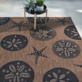 thumbnail image 5 of Solterra Solina Indoor/ Outdoor Polypropylene Havana Flat Weave Area Rug, 8x10, 5 of 8