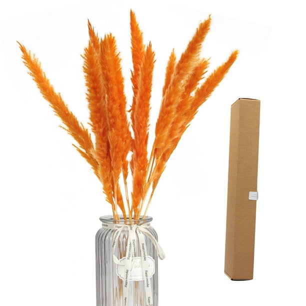 Ramo de flores secas de hierba de pampas natural, para decoración del hogar estilo bohemio.