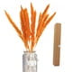 thumbnail image 1 of Hierba Seca Pampas Hierba Caña Natural Flores Secas Hierba De Pampas Secas Ramo De Flores Para Decoración Del Hogar Boho, 1 of 8