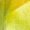 Yellow, variant on Sleeve Womens Tops Fashion Custom T-Shirt Long Sleeve Shirts For Women