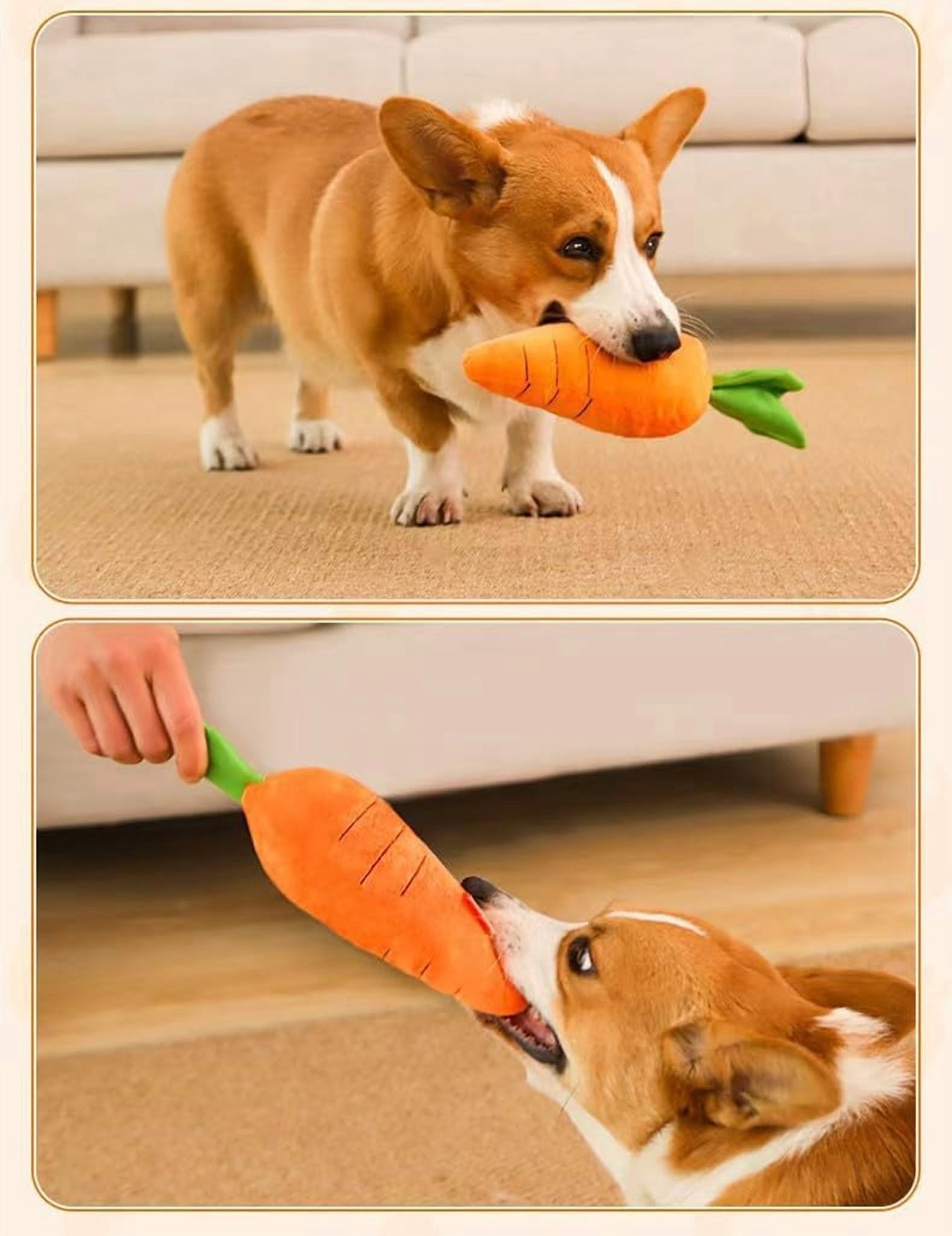 Carrot Style Squeaky Large Plush Dog Toys - Small Breed Puppy Chew Toys - Chewing Toys for Dogs - Large&Small Dog Plush Toys