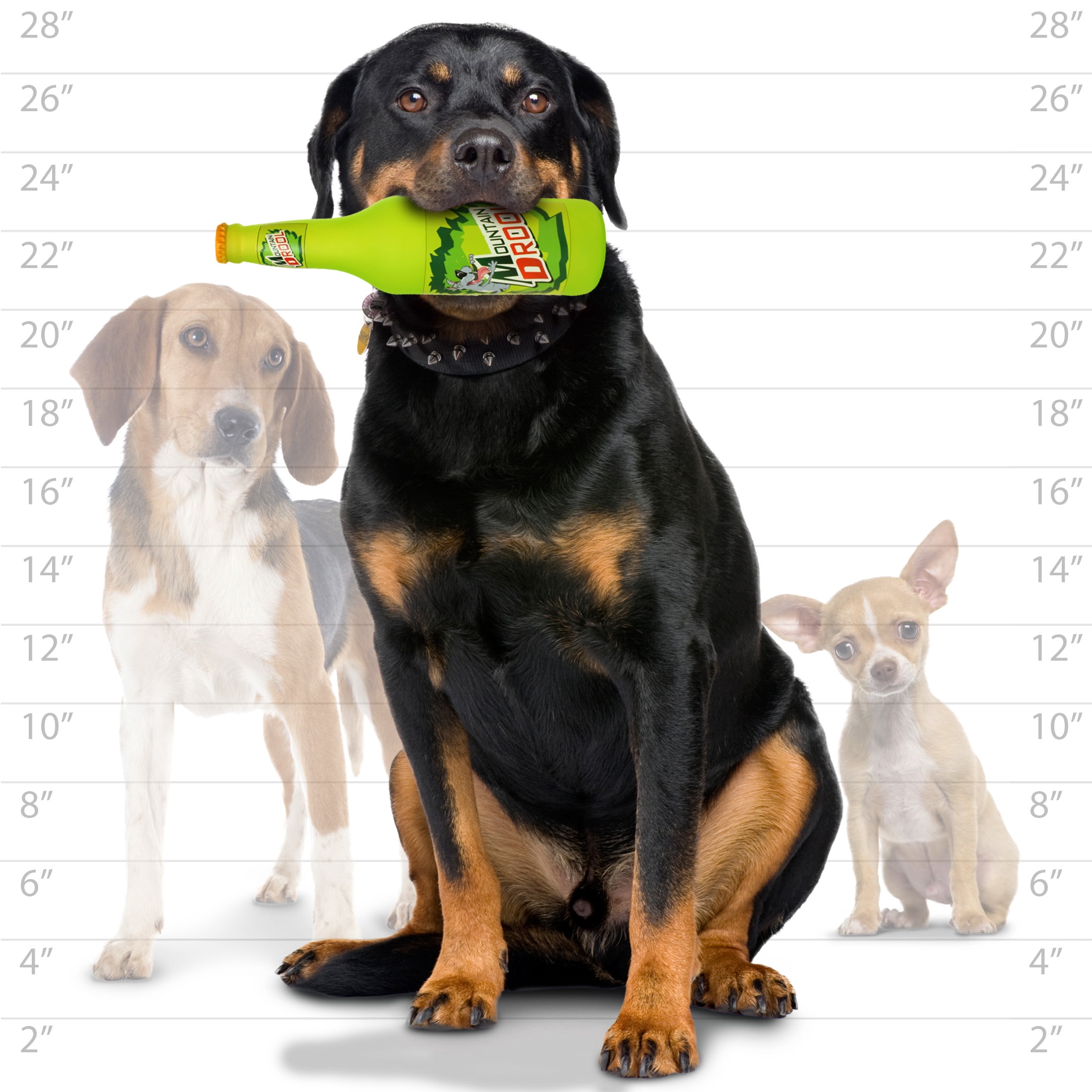 Silly Squeakers Beer Bottle Mountain Drool Squeaky Durable Vinyl 2-Pack Dog Toy