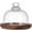 Shape15, variant on Glass Dessert Dome with Base Mini Domo Cake Cloche Dome Display Cases Bell Jars Cloche Glass Display Server Tray for Kitchen Birthday Party Wedding Diameter of The Glass Bell: 3.14" for DIY