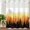 Dark Orange, variant on No Hook Shower Curtain with Snap in Liner,Fall Forest Orange Gradient Ombre Waterproof Bath Curtain with See Through Top Window,Jungle Black Shadow Shower Curtains for Bathroom Decor,36x72in