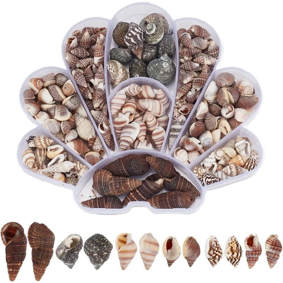 230 PCS Natural Shell Beads 6 Styles Mixed Color Undrilled Miniature Shells for DIY Jewelry Craft Wedding Decor Fish Vase Filler Home Decor 7~33mm Colorful