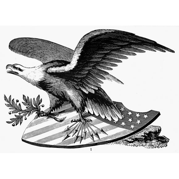 Aigle, XIXe Siècle. /Nan American Cald Eagle. Taille Américaine, XIXe Siècle. Affiche Imprimée par (18 x 24)