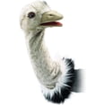 thumbnail image 2 of Folkmanis Puppets Ostrich Stage Hand Puppet, 2 of 6
