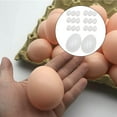 thumbnail image 2 of 20 Piece Realistic Plastic Simulation Eggs Chicken House Small for DIY Painting Home Decoration white, 2 of 9