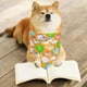 thumbnail image 4 of para perro de Pascua, collar para mascotas, babero suave para perros Huevos de Pascua Zulema  Pañuelo de perros de Pascua, 4 of 8