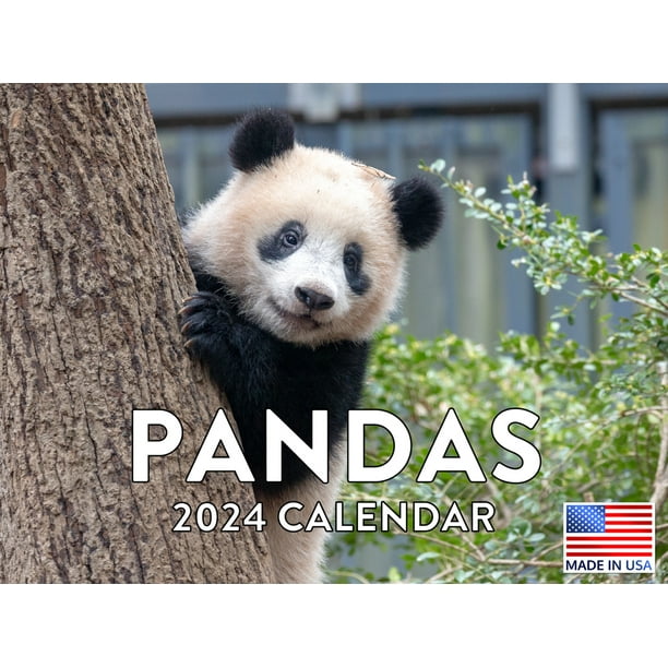 Panda Calender Gifts 2024 Wall Calendar Panda Calendar 2024 Wall ...