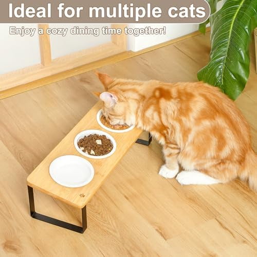 Raised Cat Food Water Bowl Elevated Tilted Kitty Dishes Set of 3 Ceramic Dish for Indoor Cats Orthopedic Pet Food Stand Reduces Vomiting 3 Bowl Cat Feeder Easy Assembly(Wood Color)
