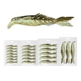 thumbnail image 1 of Birdeem Mino Fish Road Ya Bicolor Multi Fish Soft Bait Multicolor Multi Size Scissors Fish Tail False Bait Soft Bait, 1 of 1