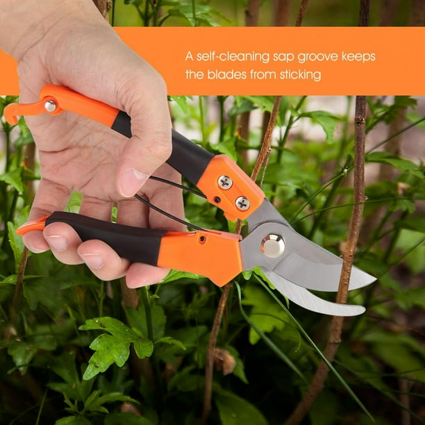 Pruning shears home hardware discount
