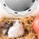 thumbnail image 4 of ColoMX Hamster Runew Rueda Hamster Toy Silent Hedgehog Wheel Rueda Chinchilla Rueda, 4 of 7