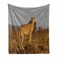 thumbnail image 1 of Safari Soft Flannel Fleece Throw Blanket, Wild Animal Cheetah Standing on Termite Mound Savannah Nature View, Cozy Plush for Indoor and Outdoor Use, 50" x 60", Ginger Apricot Dust, by Ambesonne, 1 of 6