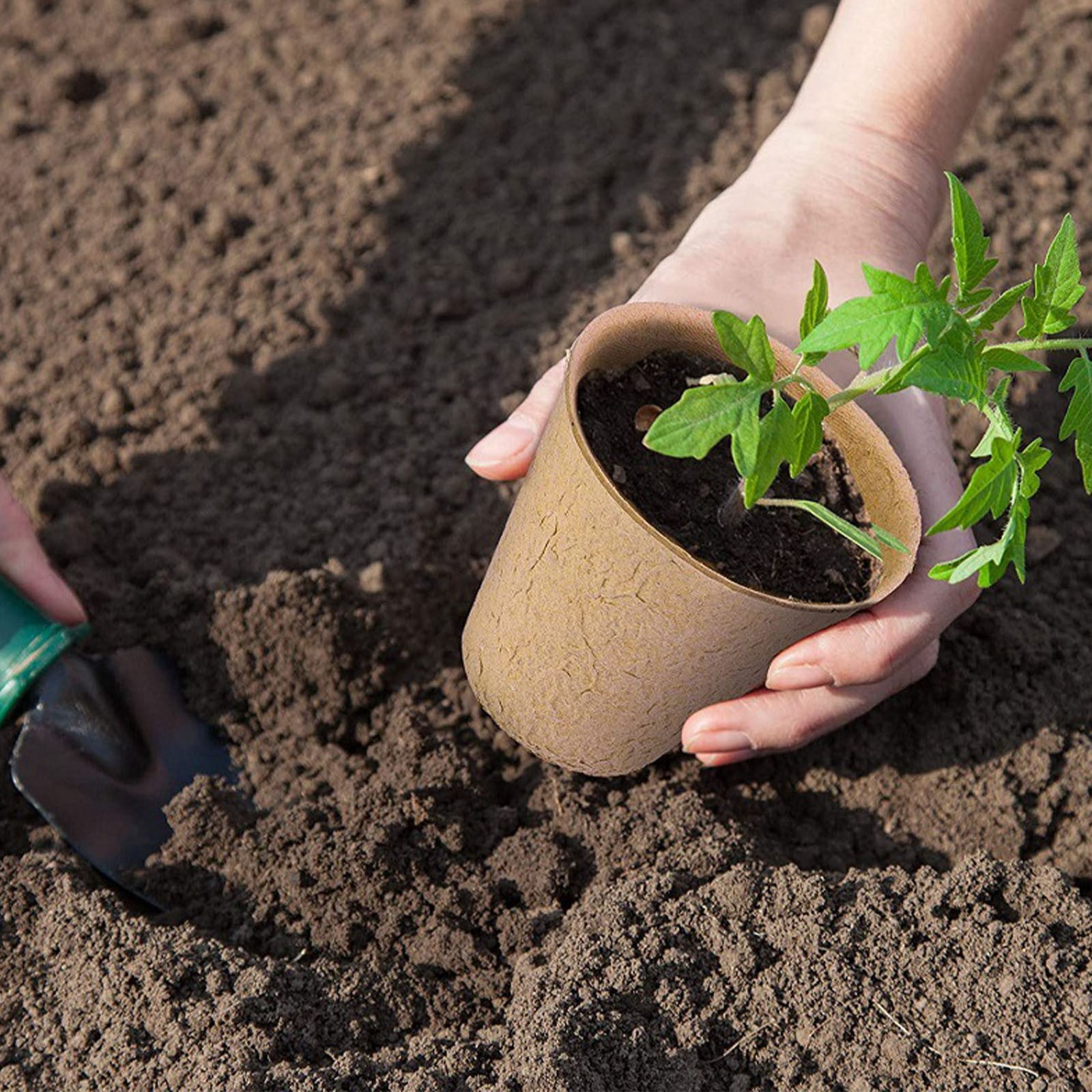 Plant Pots, Peat Pots for seedlings, Planting Pots, Seedling Pots, Biodegradable Seed Starter Pots, Flower Pots, Seed Starter Pots with Drainage Holes, Starter Pots for Planting Seeds 50Pcs