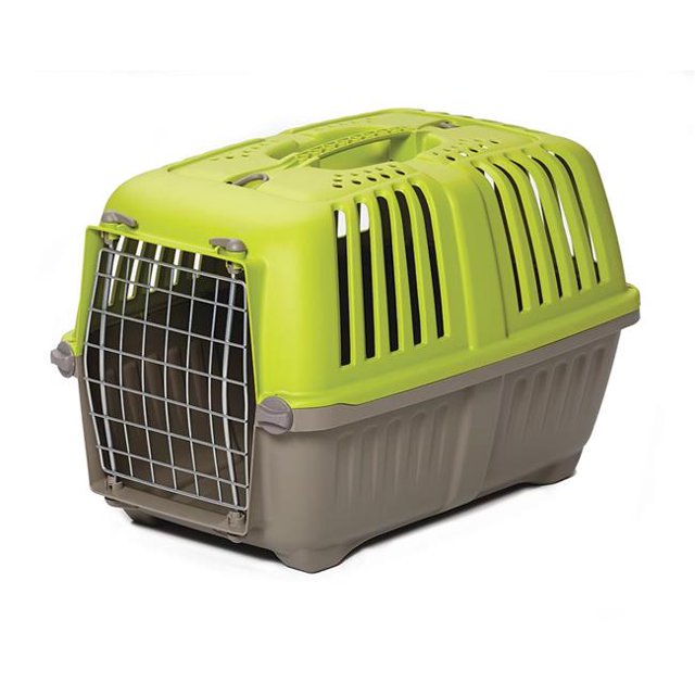 Spree Plastic Pet Carrier, Green