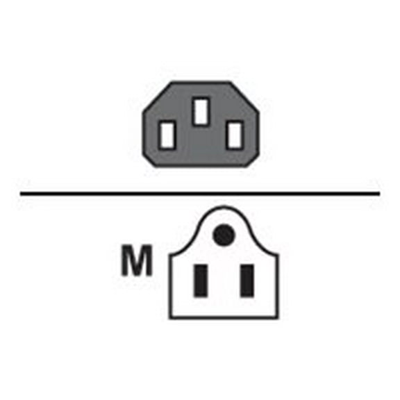 Extreme Networks 10061 Standard Power Cord - NEMA 5-15P - IEC 60320 C13 110 V AC - 10 A