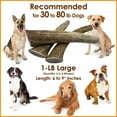 thumbnail image 3 of Deluxe Naturals 1-Pound Large Elk Antler Dog Chews, Natural Long-Lasting Chew Treat for Medium and Large Dogs, 3 of 10