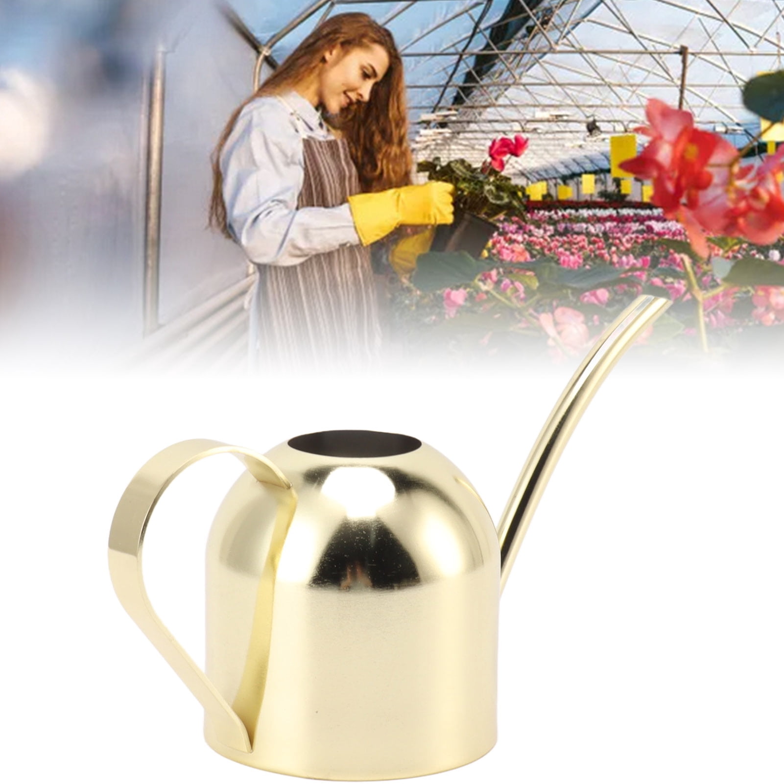 M Buder Premium Stainless Steel Watering Can Gold 30.4 oz / 0.9L Long Spout for Indoor House Plants Outdoor Gardening Tools 8.5 x 3.5 x 4.9 inches