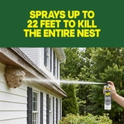 Raid Wasp & Hornet Killer Spray, 22 Ft Jet Spray Nest Killer, Outdoor, 17.5 oz