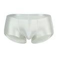 thumbnail image 3 of Men's Underwear Breathable Soft Comfortable Briefs For Daily Wear Low Rise Sheer Shiny Undergarment For Everyday Use, 3 of 3