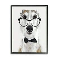 Stupell Funny Dog Formal Bowtie Glasses Animals & Insects Painting Black Framed Art Print Wall Art