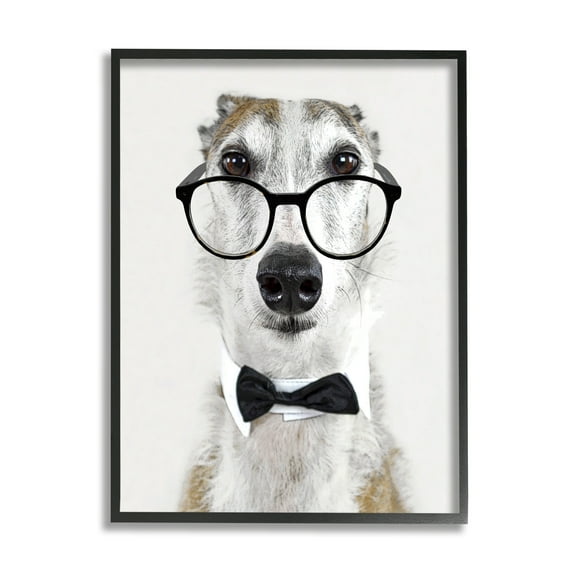Stupell Funny Dog Formal Bowtie Glasses Animals & Insects Painting Black Framed Art Print Wall Art