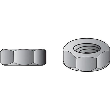 

0.31 in. Stainless Steel SAE Hex Nut Pack of 100