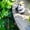Panda, variant on Meitianfacai Outdoor Fisherman Garden Statue, Handcrafted Resin Decor for Gardens & Patios - Cute Panda Figurine for Landscape, Backyard & Lawn Ornament