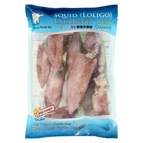 Searay Loligo Squid