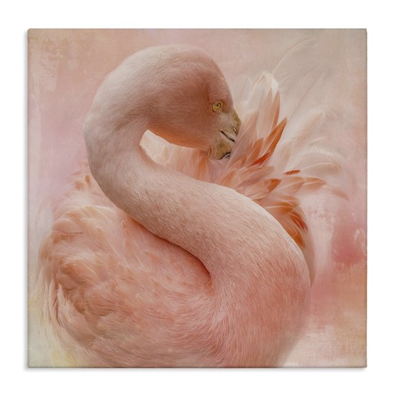 Stupell Industries Contemporary Cocoon of Plumage Canvas Art, 17 x 17, by Kelley Parker