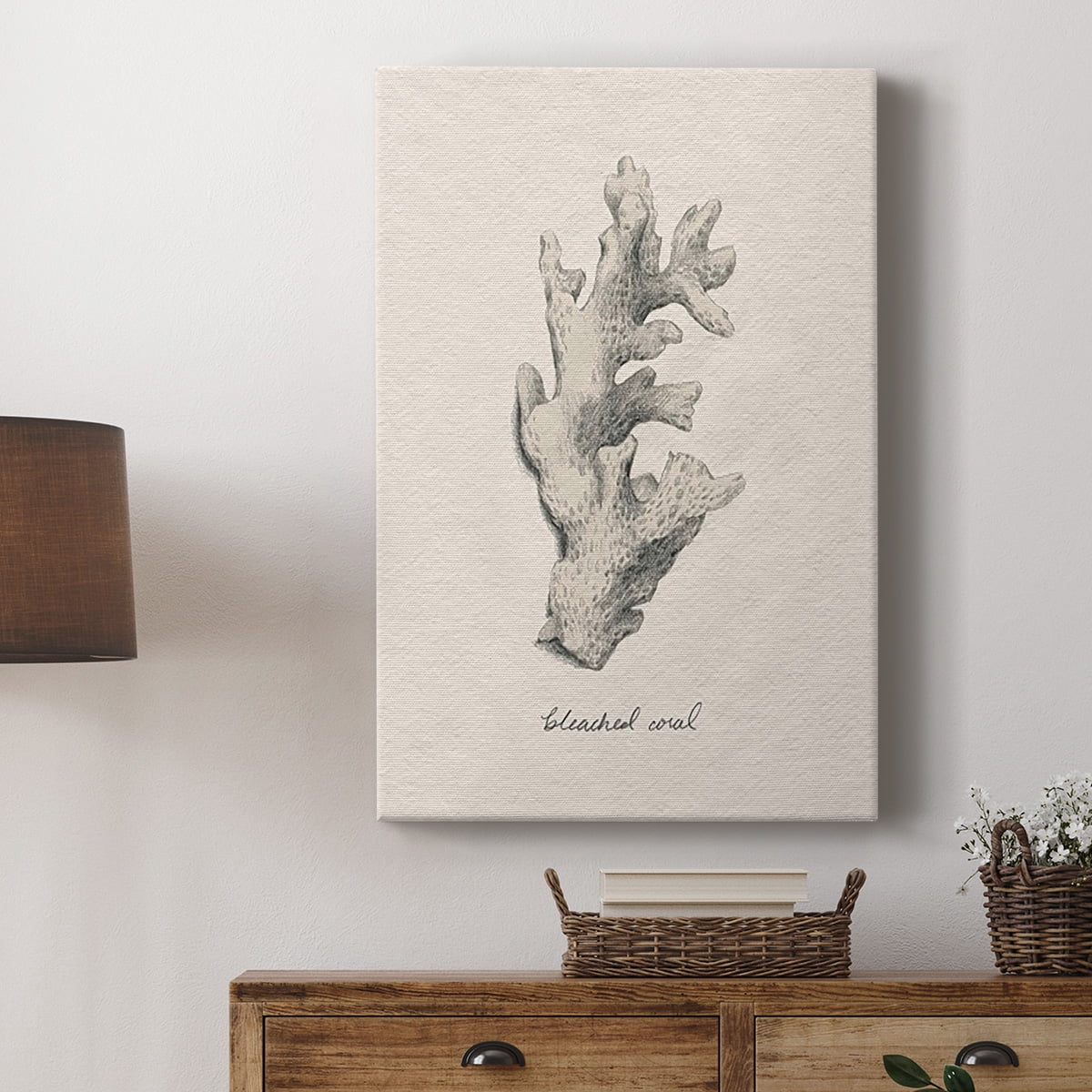 Shore Treasure Study II Premium Gallery Wrapped Canvas - Ready to Hang