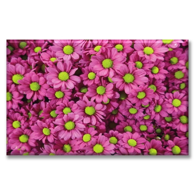 Cuadro Canva Listo Para Colgar Tipo Galería Margaritas Rosas 60X90 cm Pixtreats