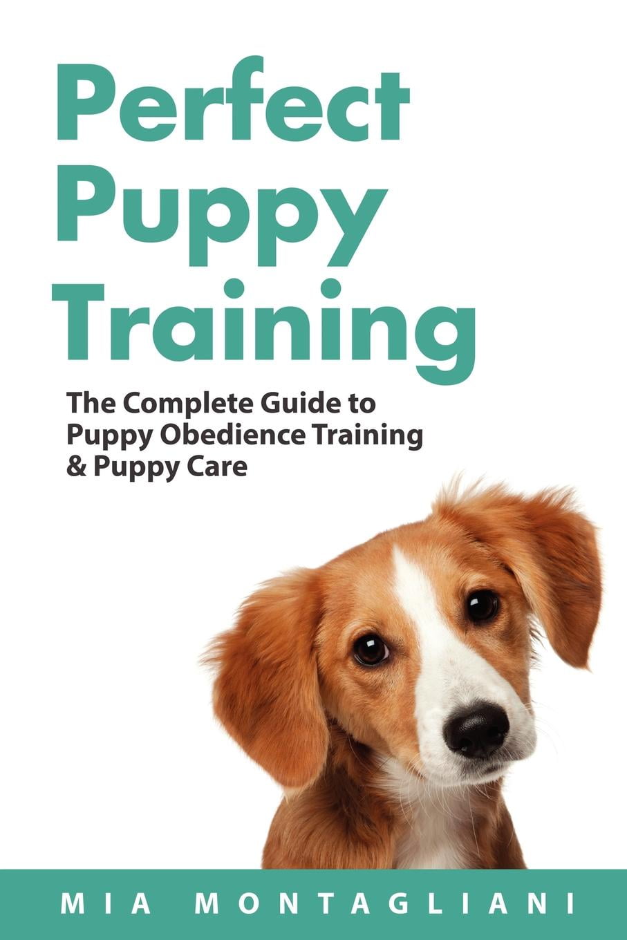 puppy training guide