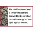 Pennington Select Black Oil Sunflower Seed Dry Wild Bird Feed, 40 lb