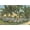 Unframed, variant on Art.com Eola Park, Orlando, Florida Art Print, 36" x 24"