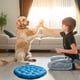 thumbnail image 1 of Xihbxyly Cojín para Silla Colgante, Poliéster Suave y Transpirable, Diseño Ergonómico y Cómodo, Versátil para Sillas de Interior y Exterior, Ideal para Sala de Estar o Balcón, Fácil de Limpiar, Tamañ, 1 of 5