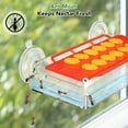 thumbnail image 6 of Naipo Bird Feeders for Outdoors Hanging with Ant Moat, Suction Cup Humming Bird Feeder with 12-Port, Leak-Proof, 14OZ, 6 of 9
