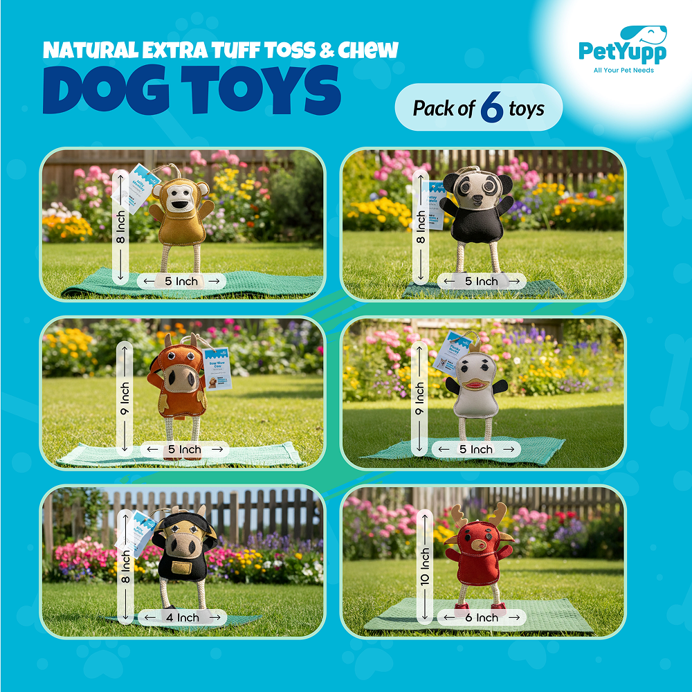 PetYupp 6 Assorted Leather Dog Toys for Small Dogs & Puppies – Natural Leather Chew Toys w/Coconut Fiber Filling & Jute Rope – Eco-Friendly, Non-Toxic, Durable Play Set for Teething & Light Chewers