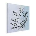 thumbnail image 2 of Trademark Fine Art 'Botanical Study VII Blue' Canvas Art by Julia Purinton, 2 of 3