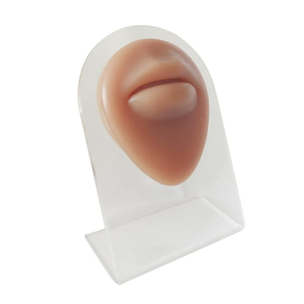 Modelos humanos Sensaciones suaves prácticas Modelado de silicona Textura delicada ratón con soporte