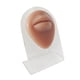 thumbnail image 1 of Modelos humanos Sensaciones suaves prácticas Modelado de silicona Textura delicada ratón con soporte, 1 of 9