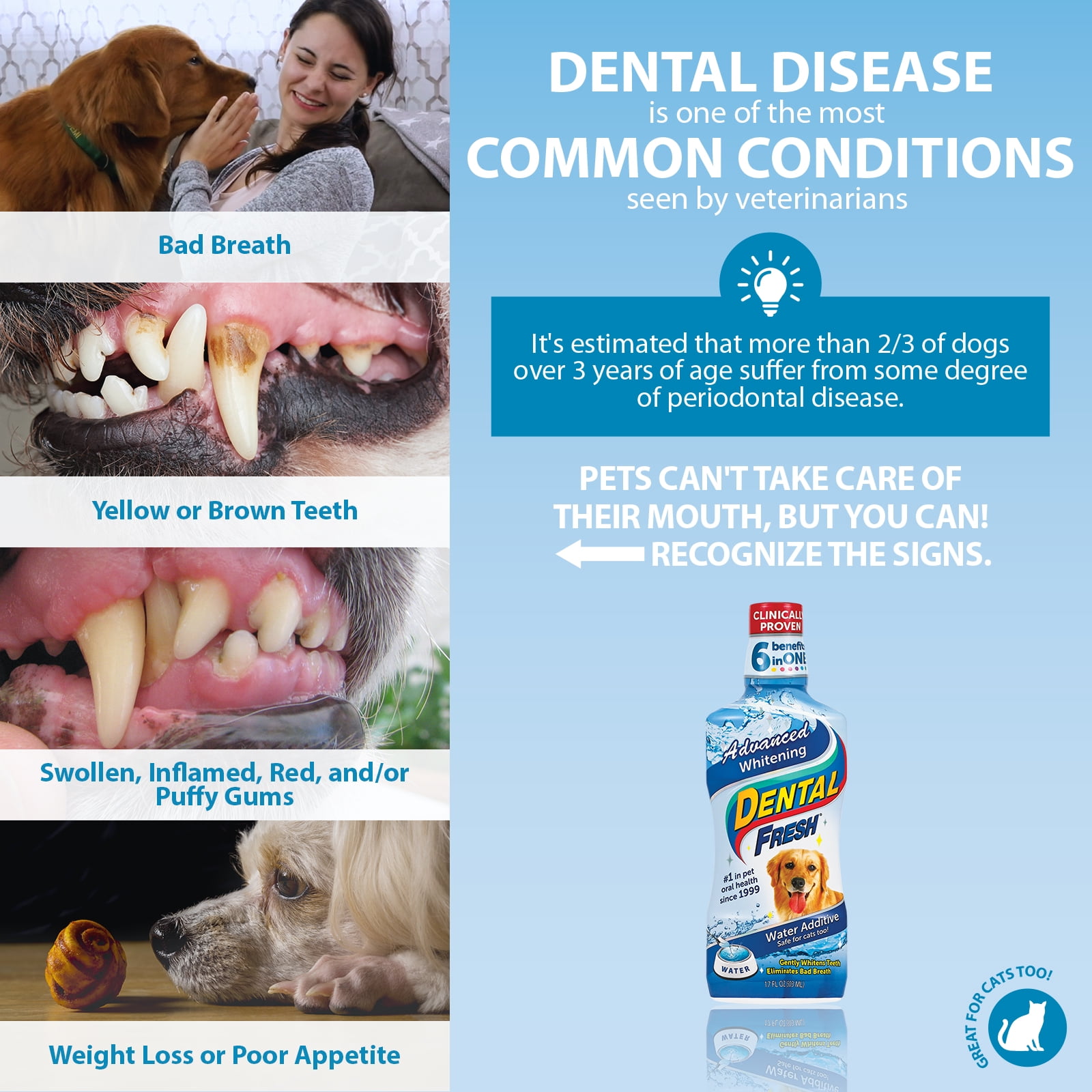 Dental Fresh Advanced Whitening Water Additive for Dogs, 17 oz - Teeth Cleaning & Bad Breath