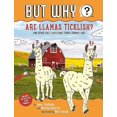 thumbnail image 2 of Are Llamas Ticklish? #1: And Other Silly Questions from Curious Kids (But Why), 2 of 2