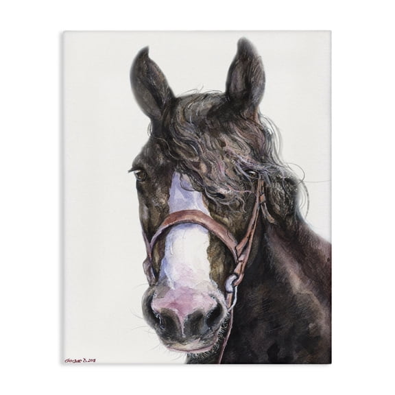 Stupell Industries Rustic Lodge Large Horse Head Animal Watercolor Canvas Art, 16 x 20, by George Dyachenko