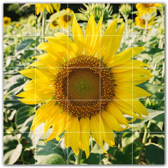 Picture-Tiles.com: Farm Ceramic Tile Wall Mural WAL500575-55XL. 60"W x 60"H using (25) 12" x 12" Ceramic Tiles-Satin Finish