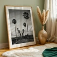 thumbnail image 6 of Palm Row in Black-and-White - California Photography Black and White Palm Tree Nature Landscape Tropical Minimalist Scenic Unframed Wall Art Print 40 x 60 inches, 6 of 60
