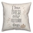 thumbnail image 2 of Creative Products Love Crisp Autumn 18 x 18 Spun Poly Pillow, 2 of 3