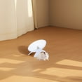 thumbnail image 4 of Rueda de hámster, juguetes de fitness para hámster, ruedas de ejercicio silenciosas, rueda para correr para hámsteres, jerbos, ratones, erizos, cobayas y mascotas pequeñas, 4 of 7